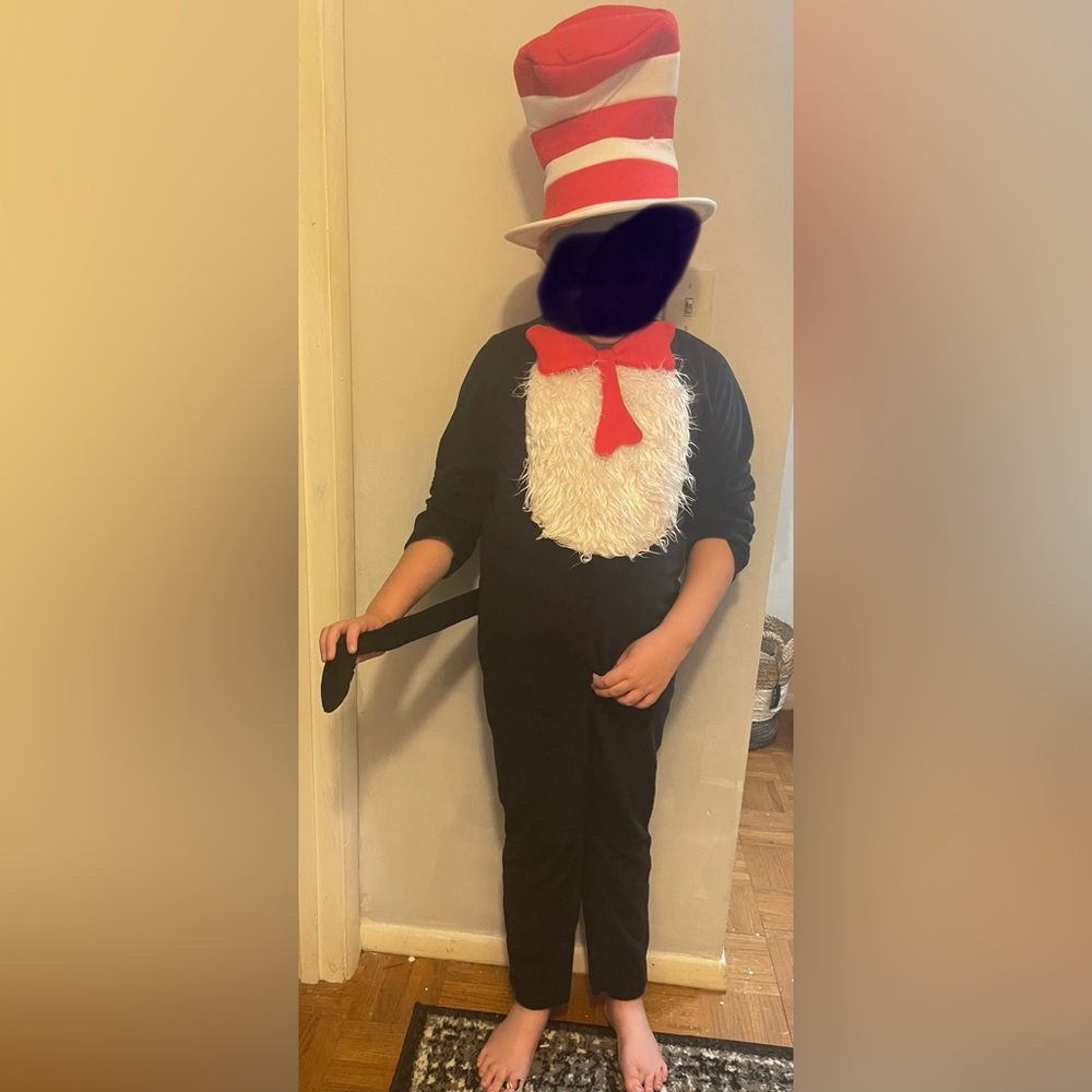 Halloween costum Cat in the Hat